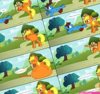 Applejack Swallows Cameron