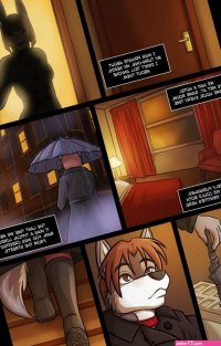 Furry -Night Moves