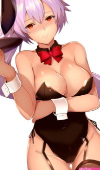 Wallpaper : anime girls big boobs cleavage Fate Grand Order bunny girl Tomoe Gozen Fate Grand Order simple background sarisF2 800x1364