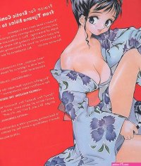 Erotic Comics 2: A Graphic History from the Liberated 70s to the Internet: Pilcher Tim Kannenberg Gene Jr. Moore Alan: 9780810972773: : Books