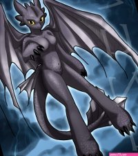 Night Fury by Zunu-Raptor -- Fur Affinity dot net