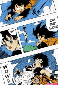 Dragon Ball H