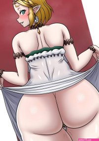 Zelda comic porn