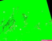 Cartoon footjob gif princess.onl Fappening Celebrity Photos