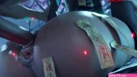 NideVeil Mating Press Anal TDonTran