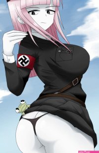 Nazi Aryan Raceplay
