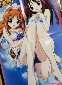 Manga Pinups by Animetion 22x16.5 Double-Sided Anime Manga Poster