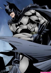 Batman And Catwoman Porn Comic english 04