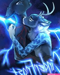 FURRY COMICS