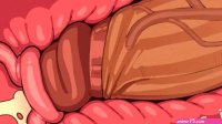 Cartoon Futanari Girls Fucking Hard in Belly Bulge Pornography Animation