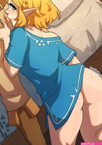 A Night With Zelda The Legend of Zelda Kinkymation Porn Comic