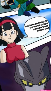 Videl Training