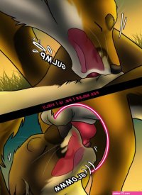 Fox-Holes-017