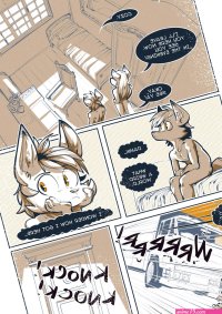 Reincarnated In Another World As A Furry Fox