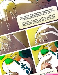 Rule 34