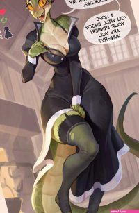 bethesda softworks lusty argonian maid the elder scrolls bonifasko 2023