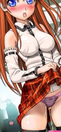 The Big ImageBoard TBIB
