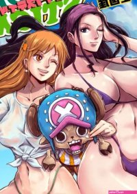 One Piece porn comics