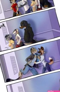 Shadbase elevator Porn Free Shadbase elevator Galleries