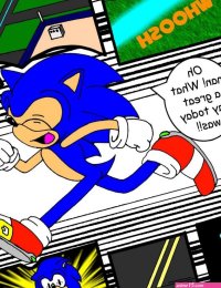 Amy Rose Paybacks A Rose
