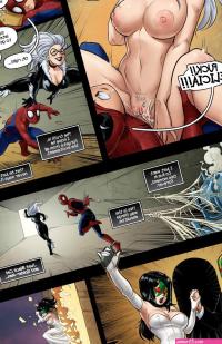 The Nuptials of Spider-Man Black Cat- LLamaboy