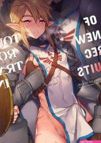 Yaoi porn comics The Legend of Zelda