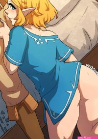 A Night With Zelda The Legend of Zelda Kinkymation Porn Comic