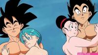 DRAGON BALL Z GOGETA BULCHI