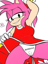 Amy Rose Rule 34