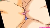 Fairy fighting tribadism animation closeup