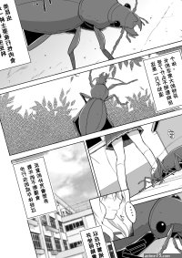 insect