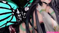 insect