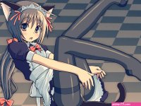 animal ears catgirl maid panties pantyhose stockings tagme underwear
