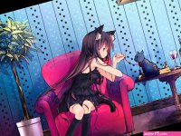 animal animal ears blue eyes brown hair cat catgirl kneehighs long hair original sakurano miya tail tree
