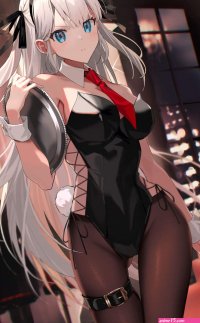 My Fetish Collection 1 : Bunny Girls Leotard Pantyhose
