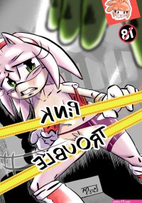 Sonic the Hedgehog Porn comics Rule 34 comics Cartoon porn comics
