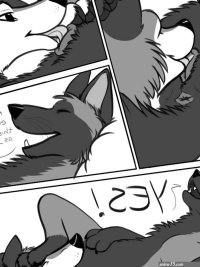 Rule 34