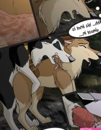 Rule 34