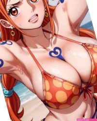Nami-san comic porn