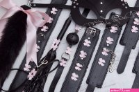 18 ULTIMATE BDSM Pet Play Bondage Set