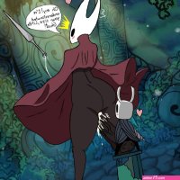 Hollw Knight Hentai by BlueNova11 on Newgrounds