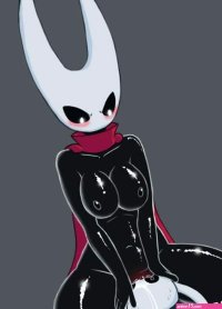 Hollow Knight