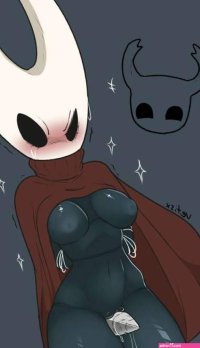 Hollow Knight Hollow