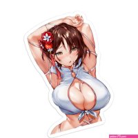 Hentai Sexy Anime Decal Sticker Laptop Phone Luggage Motorcycle Skateboard Wall
