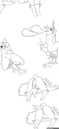 The Big ImageBoard TBIB