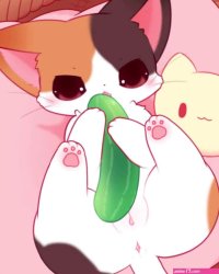 Rule 34