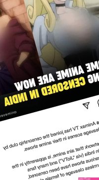 Vajinas de anime