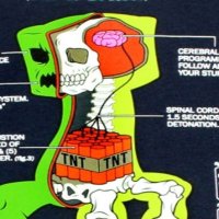 Cocomelon Cartoon Porn Archives