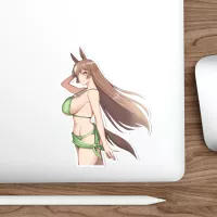 Stickers Decals.