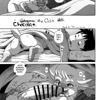 Chocolat the Cat